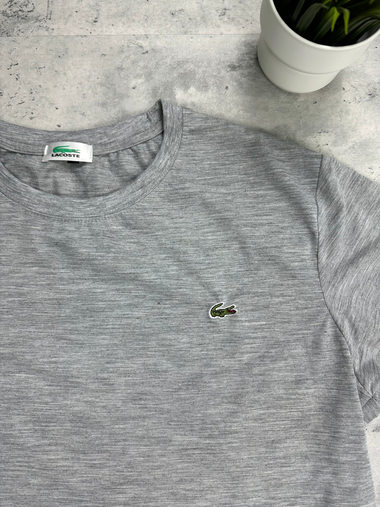 Camiseta lacoste basica